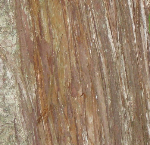 Parts of a&nbsp;Whole